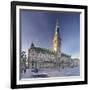 Rathaus (city hall) at Rathausmarkt place, Hamburg, Hanseatic City, Germany, Europe-Markus Lange-Framed Photographic Print