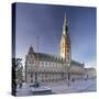 Rathaus (city hall) at Rathausmarkt place, Hamburg, Hanseatic City, Germany, Europe-Markus Lange-Stretched Canvas