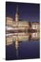 Rathaus (city hall) reflecting at Kleine Alster Lake, Hamburg, Hanseatic City, Germany, Europe-Markus Lange-Stretched Canvas