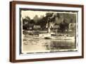 Brown Frame