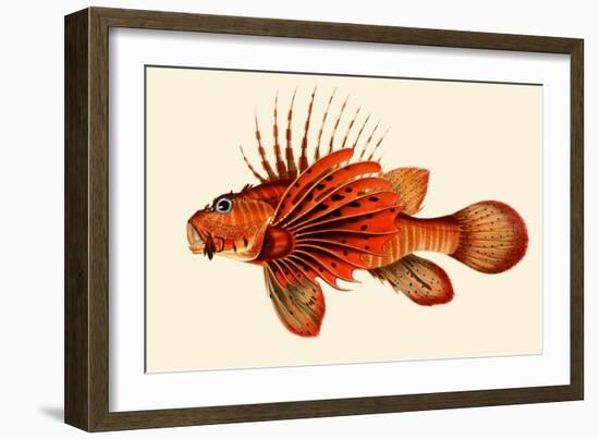 Ratoo Gini Maha - Great Red Fire-John Whitchurch Bennett-Framed Art Print