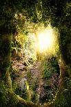 Beautiful Enchanting Forest Opening Path Leading to a Bright Light-ratpack223-Photographic Print