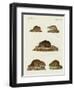 Rats and Mice-null-Framed Giclee Print