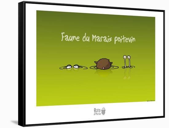 Rats d'marais - Faune poitevine-Sylvain Bichicchi-Framed Stretched Canvas