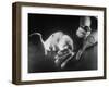 Rats Suffering from Radiation Sickness Being Experimented on for Research-null-Framed Photographic Print