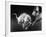 Rats Suffering from Radiation Sickness Being Experimented on for Research-null-Framed Photographic Print