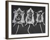 Rats That Were Suffering from Radiation Poison from an Experiment are Shown Here During an Autopsy-null-Framed Photographic Print