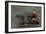 Rattatattat-Den Reader-Framed Photographic Print