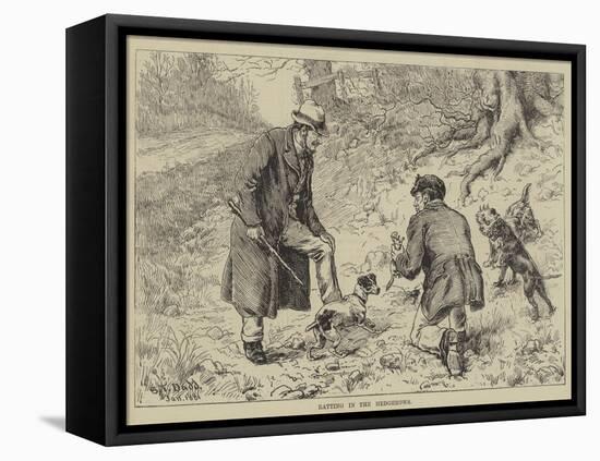 Ratting in the Hedgerows-S.t. Dadd-Framed Stretched Canvas