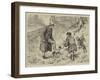 Ratting in the Hedgerows-S.t. Dadd-Framed Giclee Print