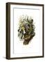 Rattle Snake, Nest Attack-null-Framed Giclee Print