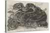 Rattlesnake and Young in the Menagerie of the Zoological Society-null-Stretched Canvas