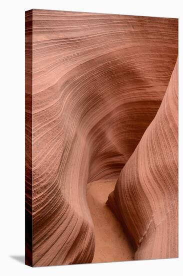 Rattlesnake Canyon, Near Page, Arizona, United States of America, North America-Gary-Stretched Canvas