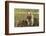 Rattlesnake Lake Recreation Area, North Bend, WA. Cavalier King Charles Spaniel standing on stump.-Janet Horton-Framed Photographic Print