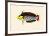 Rattoo-Girawah-John Whitchurch Bennett-Framed Premium Giclee Print