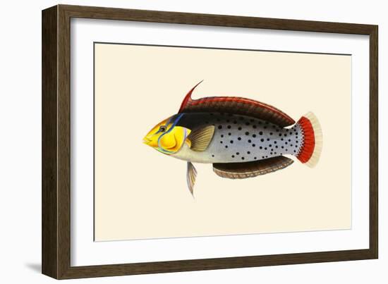 Rattoo-Girawah-John Whitchurch Bennett-Framed Art Print