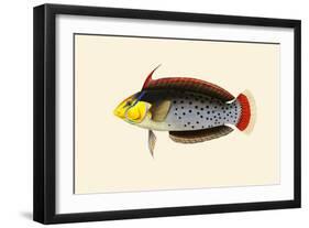 Rattoo-Girawah-John Whitchurch Bennett-Framed Art Print