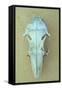 Rattus Norvegicus-Den Reader-Framed Stretched Canvas