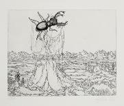 Untitled - (Beetle)-Rauch Hans Georg-Limited Edition