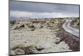 Raudhalsahraun, Snaefellsnes, West Iceland-Julia Wellner-Mounted Photographic Print