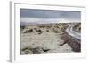 Raudhalsahraun, Snaefellsnes, West Iceland-Julia Wellner-Framed Photographic Print