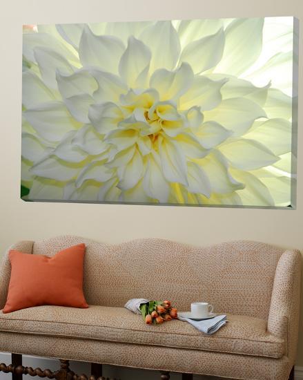 Loft Art, , large