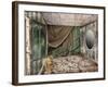 Ravaged Beauty-Mindy Sommers-Framed Giclee Print