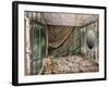 Ravaged Beauty-Mindy Sommers-Framed Giclee Print