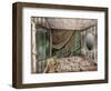 Ravaged Beauty-Mindy Sommers-Framed Giclee Print