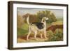 Ravager, One of the Lambton Hounds-James Ward-Framed Giclee Print