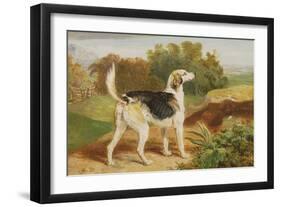 Ravager, One of the Lambton Hounds-James Ward-Framed Giclee Print