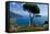 Ravello Villa Rufolo Amalfi Coast-Charles Bowman-Framed Stretched Canvas