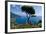 Ravello Villa Rufolo Amalfi Coast-Charles Bowman-Framed Photographic Print