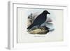 Raven, 1863-79-Raimundo Petraroja-Framed Giclee Print