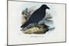 Raven, 1863-79-Raimundo Petraroja-Mounted Giclee Print