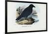 Raven, 1863-79-Raimundo Petraroja-Framed Giclee Print