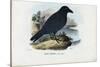 Raven, 1863-79-Raimundo Petraroja-Stretched Canvas