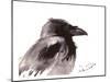 Raven 2-Suren Nersisyan-Mounted Art Print