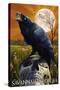 Raven and Moon - Savannah, GA-Lantern Press-Stretched Canvas