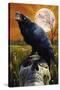 Raven and Skull-Lantern Press-Stretched Canvas