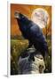 Raven and Skull-Lantern Press-Framed Art Print