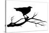 Raven Bird Silhouette-Cattallina-Stretched Canvas