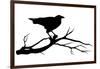 Raven Bird Silhouette-Cattallina-Framed Art Print