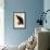 Raven, Corvus Corax-Edward Lear-Framed Giclee Print displayed on a wall