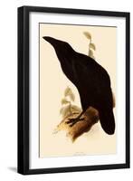 Raven, Corvus Corax-Edward Lear-Framed Giclee Print