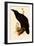 Raven, Corvus Corax-Edward Lear-Framed Premium Giclee Print