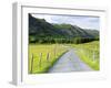 Raven Crag, Langdale Pikes, Lake District National Park, Cumbria, England, United Kingdom, Europe-Jeremy Lightfoot-Framed Photographic Print