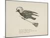 Raven Flying On a Broom, Nonsense Botany Animals and Other Poems Written and Drawn by Edward Lear-Edward Lear-Mounted Giclee Print