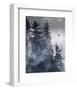 Raven, Glacier Bay National Park, Alaska-Art Wolfe-Framed Art Print