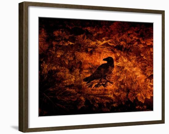 Raven in the Acanthus-Katherine Sanderson-Framed Photographic Print